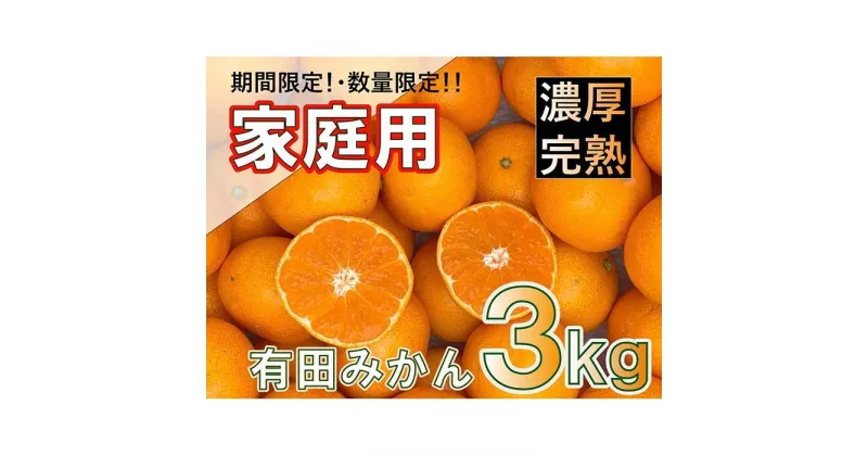 【ふるさと納税】家庭用 約3kg 有田みかん 北真農園 濃厚完熟 お試しサイズ ORYY推奨 | フルーツ 果物 くだもの 食品 人気 おすすめ 送料無料 ORYY推奨