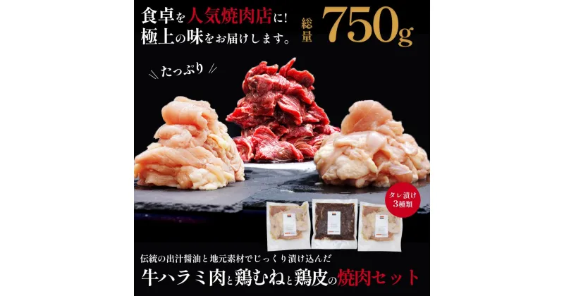 【ふるさと納税】【BBQ・焼肉用】印南町オリジナル熟成タレ漬けBBQセット　お試しサイズ750g | お肉 にく 食品 和歌山県産 人気 おすすめ 送料無料 ギフト セット