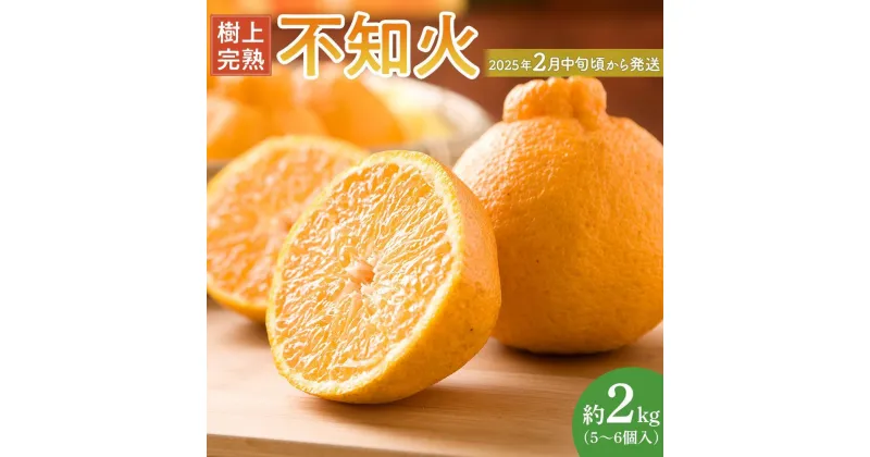 【ふるさと納税】【限定】 不知火 樹上完熟 約2kg （5～6個入）【先行予約】【2025年2月中旬頃から発送】【KG6】 | みかん 蜜柑 フルーツ 果物 くだもの 食品 人気 おすすめ 送料無料