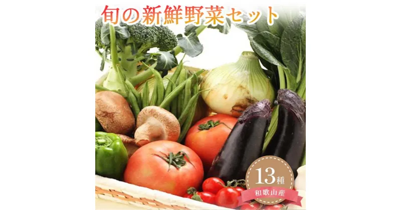 【ふるさと納税】旬の新鮮野菜セット 大満足な13種以上【野菜詰め合わせ】 | 野菜 やさい 食品 人気 おすすめ 送料無料