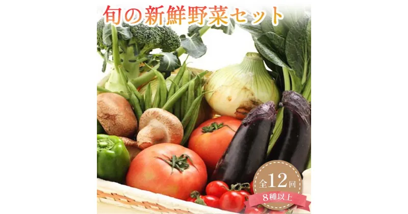 【ふるさと納税】定期便 旬の新鮮野菜詰め合わせ 8種以上 全12回【野菜セット】 | 野菜 やさい 食品 人気 おすすめ 送料無料