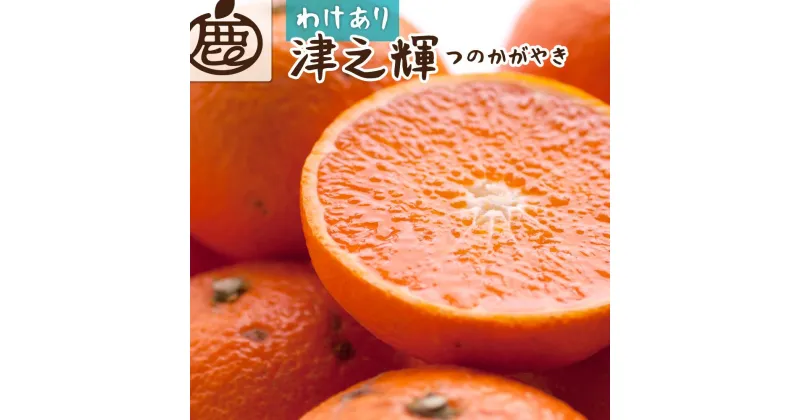 【ふるさと納税】＜2月より発送＞家庭用 津之輝1.2kg+36g（傷み補償分）つのかがやき【わけあり・訳あり】【光センサー選別】【IKE57】 | 柑橘 フルーツ 果物 くだもの 食品 人気 おすすめ 送料無料