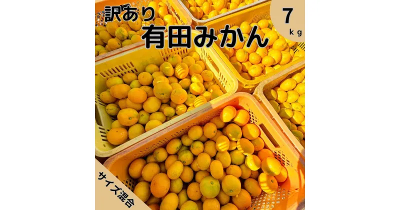 【ふるさと納税】【訳あり】有田みかん 6kg＋1kg補償分 3S～3Lサイズ混合 | みかん 蜜柑 フルーツ 果物 くだもの 食品 人気 おすすめ 送料無料