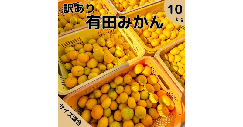 【ふるさと納税】【訳あり】有田みかん 8kg＋2kg保証分 3S～3Lサイズ混合 | みかん 蜜柑 フルーツ 果物 くだもの 食品 人気 おすすめ 送料無料