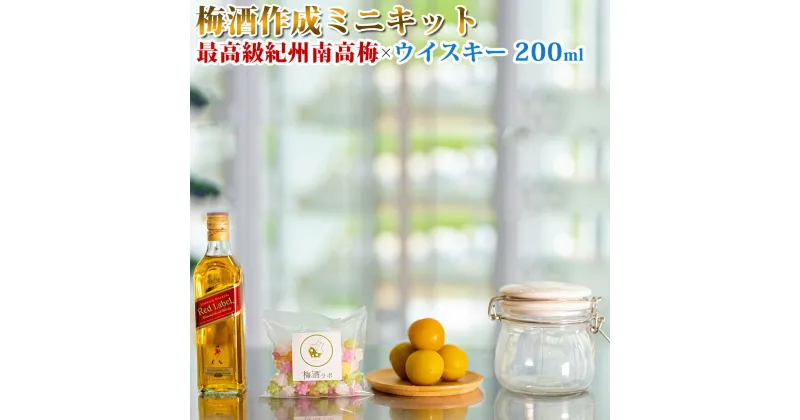 【ふるさと納税】梅酒作成ミニキット（ウイスキーベース） 200ml | 最高級紀州南高梅 南高梅 和歌山 紀州 ウイスキー ウイスキー梅酒 クラフト梅酒 梅 うめ