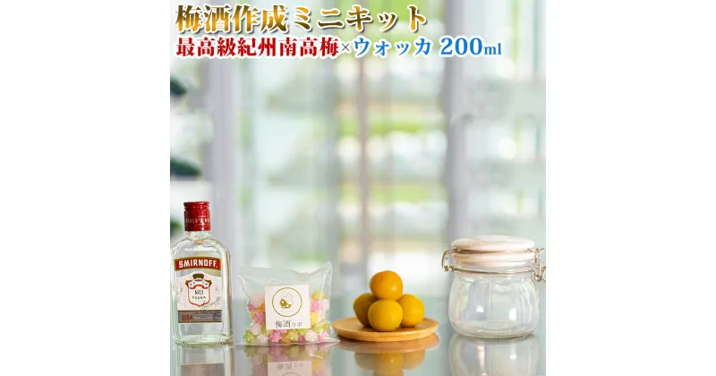 【ふるさと納税】梅酒作成ミニキット（ウォッカベース） 200ml | 最高級紀州南高梅 南高梅 和歌山 紀州 ウォッカ ウォッカ梅酒 クラフト梅酒 梅 うめ