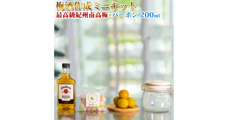 【ふるさと納税】梅酒作成ミニキット（バーボンベース） 200ml | 最高級紀州南高梅 南高梅 和歌山 紀州 バーボン バーボン梅酒 クラフト梅酒 梅 うめ