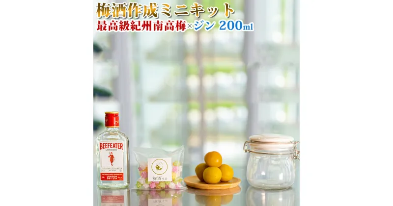 【ふるさと納税】梅酒作成ミニキット（ジンベース） 200ml | 最高級紀州南高梅 南高梅 和歌山 紀州 ジン ジン梅酒 クラフト梅酒 梅 うめ