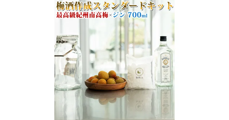 【ふるさと納税】梅酒作成スタンダードキット（ジンベース） 700ml | 最高級紀州南高梅 南高梅 和歌山 紀州 ジン ジン梅酒 クラフト梅酒 梅 うめ