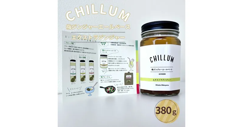 【ふるさと納税】CHILLUM 梅ジンジャーエールベース | 希釈用 梅シロップ 梅ジュース 梅ドリンク 梅サワー 梅ソーダ