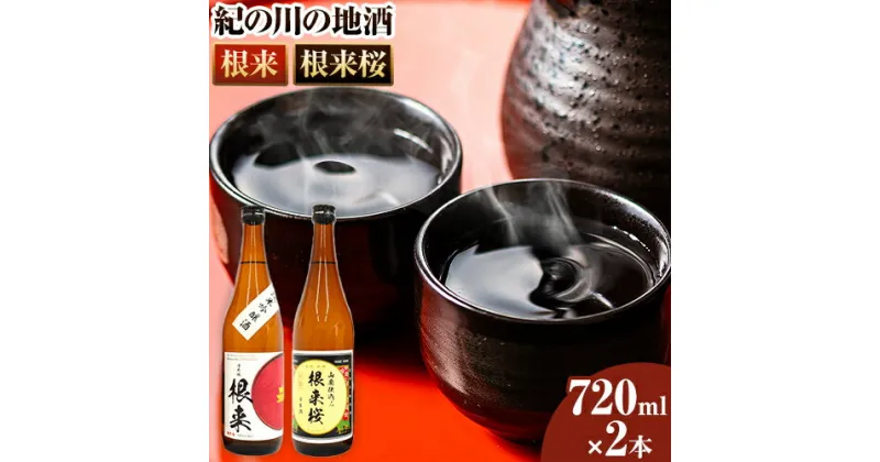 【ふるさと納税】純米吟醸酒「根来」と長期熟成山廃仕込み「根来桜」各720ml×2本セット 日高川町厳選館(株式会社ティーエムテック)《90日以内に出荷予定(土日祝除く)》和歌山県 日高川町 酒 日本酒 アルコール 根来 送料無料