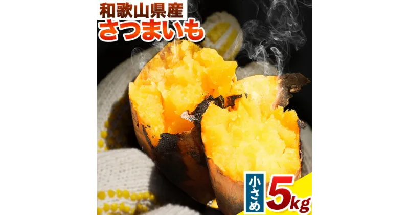 【ふるさと納税】和歌山県のサツマイモ 在来種 小さめサイズ 5kg みはらファーム《12月中旬‐4月下旬頃出荷》和歌山県 日高川町 みはらファーム さつま芋 薩摩芋