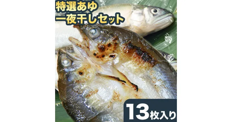 【ふるさと納税】「旨いはずです。」特選 あゆ 一夜干し セット (13枚入)　日高川漁業協同組合《90日以内に出荷(土日祝除く)》 和歌山県 日高川町 あゆ 鮎 魚 一夜干し