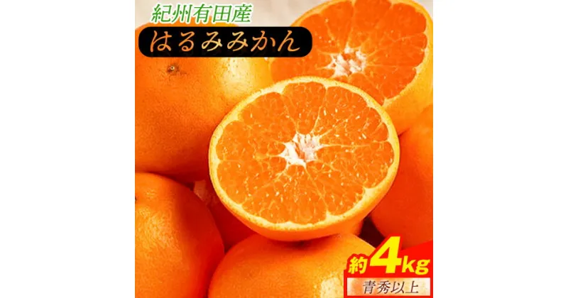 【ふるさと納税】青秀以上 紀州有田産 はるみ 約4kg（2L～3Lサイズおまかせ）《2025年1月下旬-3月上旬頃出荷》和歌山県 日高川町 フルーツ 果物 はるみ