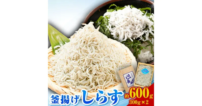 【ふるさと納税】釜揚げ しらす 約 600g (約300g×2) 株式会社はし長 《30日以内に出荷予定(土日祝除く)》 和歌山県 日高川町 釜揚げしらす シラス