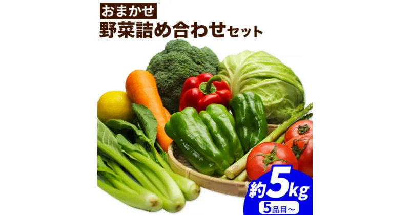 【ふるさと納税】四季のお楽しみ☆おまかせ 野菜 詰め合せ セット ( 訳あり 品 ) 5品~ 約5kg JA紀州産直店 さわやか日高(日高川町)《30日以内に出荷予定(土日祝除く)》 和歌山県 日高川町 野菜セット 野菜 詰め合わせ 訳あり品