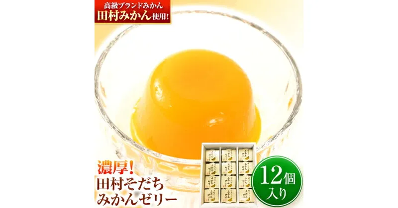 【ふるさと納税】濃厚！ 田村そだちみかんゼリー 12個 株式会社魚鶴商店《30日以内に出荷予定(土日祝除く)》和歌山県 日高川町 オレンジゼリー ゼリー 田村そだち