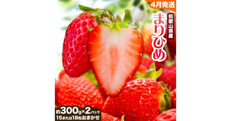 【ふるさと納税】【4月発送】和歌山県産ブランド いちご「まりひめ」約300g×2パック (15または18粒おまかせ) 日高川町厳選館《4月上旬～5月中旬頃より出荷予定》和歌山県 日高川町 送料無料 苺 鞠姫 マリヒメ フルーツ 果物 お取り寄せ 【配送不可地域あり】