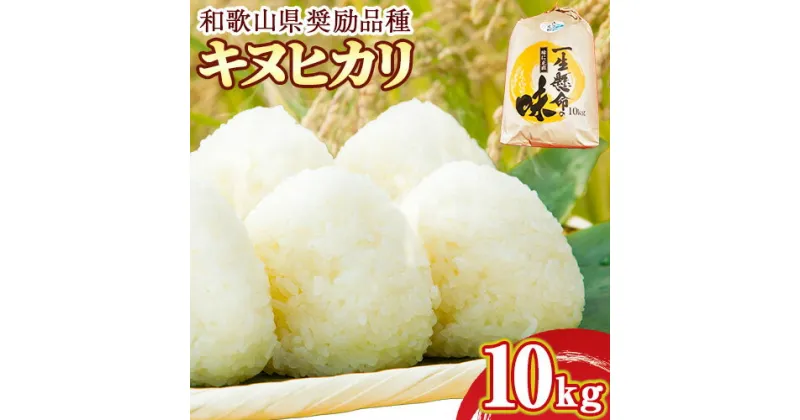 【ふるさと納税】日高川産 キヌヒカリ 約10kg 山啓農園 《9月中旬-1月中旬頃出荷》 和歌山県 日高川町 米 お米 ご飯