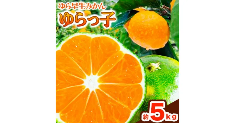 【ふるさと納税】ゆら早生みかん「ゆらっ子」 約5kg JA紀州産直店 さわやか日高（日高川町）《10月上旬-11月上旬頃出荷》 和歌山県 日高川町 ゆら早生みかん みかん 早生 柑橘 蜜柑 フルーツ