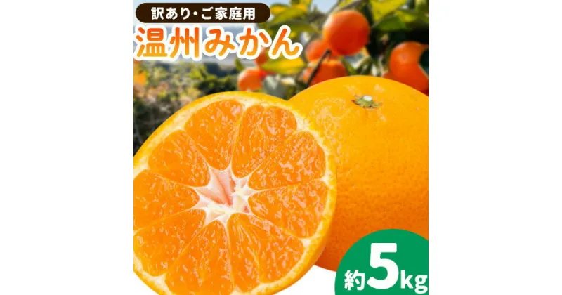 【ふるさと納税】ご家庭用 温州みかん(入野みかん) 約5kg《2024年11月下旬-2月上旬頃出荷》竹本農園 和歌山県 日高川町 旬 新鮮 果物 柑橘 フルーツ 国産 送料無料 ミカン みかん