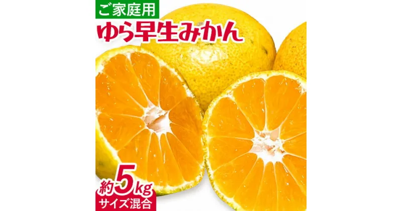 【ふるさと納税】みかん ゆら早生みかん ご家庭用 5kg サイズ混合 GOGO農園《10月上旬-11月末頃出荷》 和歌山県 日高川町 ゆら早生みかん みかん 早生 柑橘 蜜柑 フルーツ 送料無料