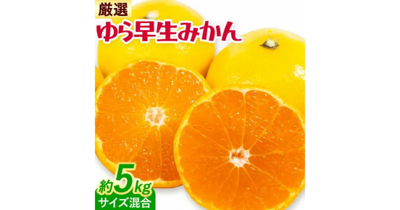 【ふるさと納税】みかん ゆら早生みかん 厳選 5kg サイズ混合 GOGO農園《10月上旬-11月末頃出荷》 和歌山県 日高川町 ゆら早生みかん みかん 早生 柑橘 蜜柑 フルーツ 送料無料