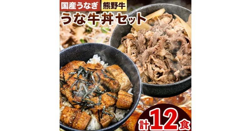 【ふるさと納税】牛丼 熊野牛 国産うなぎ うな牛丼セットB 計12食 各6食 株式会社Meat Factory《30日以内に出荷予定(土日祝除く)》和歌山県 日高川町 牛肉 肉 牛丼 国産 うなぎ うな牛 送料無料