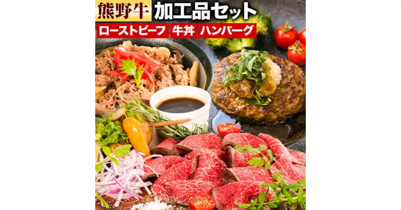 【ふるさと納税】牛肉 熊野牛 加工品 バラエティ セット ミニ ローストビーフ 生ハンバーグ 牛丼の具 約 970g 株式会社Meat Factory《30日以内に出荷予定(土日祝除く)》和歌山県 日高川町 熊野牛 牛 和牛 惣菜 ハンバーグ 牛丼