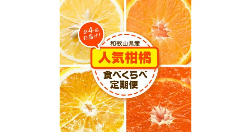 【ふるさと納税】人気柑橘食べくらべ定期便 全4回 計20kg どの坂果樹園《2025年1月上旬-5月上旬頃出荷》 和歌山県 日高川町 みかん 柑橘 不知火 送料無料 ゆら早生みかん 早生みかん 不知火 オレンジ