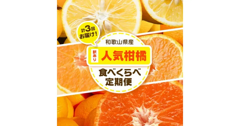 【ふるさと納税】訳あり 人気柑橘食べくらべ定期便 全3回 計15kg どの坂果樹園《2024年12月上旬-5月上旬頃出荷》 和歌山県 日高川町 みかん 柑橘 不知火 送料無料 レモン