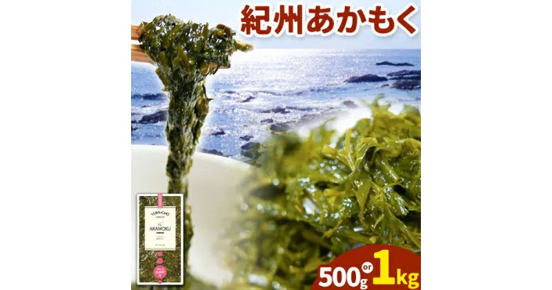 【ふるさと納税】紀州あかもく(由良町産) 選べる 内容量 500g​ (100g×5パック) 1kg(100g×10パック) 2024年産《30日以内に出荷予定(土日祝除く)》 和歌山県 日高川町 海藻 アカモク スマイル 味噌汁 惣菜