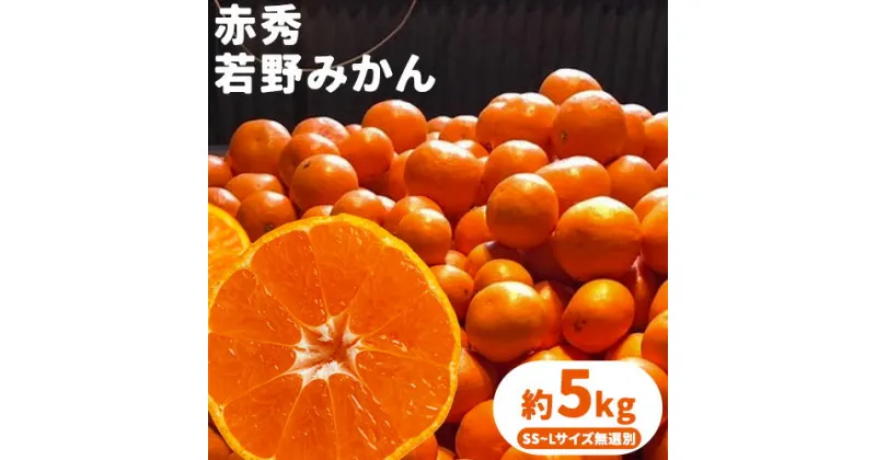 【ふるさと納税】 赤秀 若野みかん 約 5kg（サイズ無選別）《2024年12月上旬-2月中旬頃出荷》圦本悟農園 和歌山県 日高川町 旬 新鮮 果物 柑橘 フルーツ 国産 送料無料 ミカン みかん 温州みかん