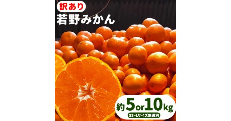 【ふるさと納税】 訳あり 若野 みかん 約5kg or 約10kg（サイズ無選別）《2024年12月上旬-2月中旬頃出荷》圦本悟農園 和歌山県 日高川町 旬 新鮮 果物 柑橘 フルーツ 国産 送料無料 ミカン みかん 温州みかん