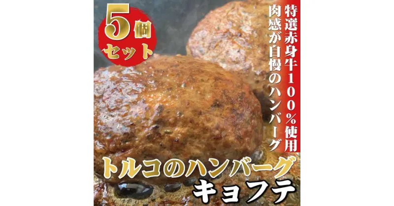 【ふるさと納税】牛100％使用 世界三大料理のトルコの本格ハンバーグ5個セット（200g（ソース含む）×5） ギフト 贈答にも 牛肉 肉料理 惣菜 ハンバーグ | 和歌山 白浜町 お取り寄せグルメ ハンバーグ おかず お惣菜 レンジ 温めるだけ レンチン 冷凍食品 簡単調理 惣菜