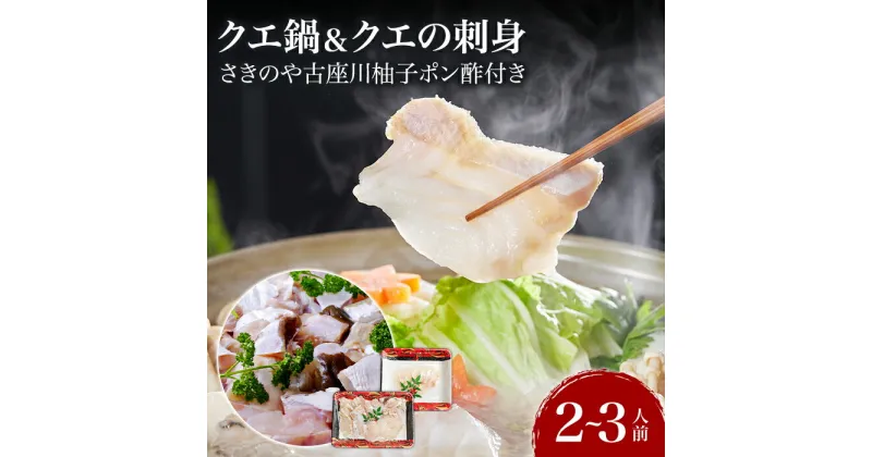 【ふるさと納税】クエ鍋＆クエの刺身 2～3人前セット 創業より60年伝わる”さきのや古座川柚子ポン酢”付き！【コロナ支援】 | 和歌山 支援 取り寄せ お取り寄せ グルメ お取り寄せグルメ ご当地 ご当地グルメ 海鮮 魚介 セット くえ クエ 鍋 コロナ支援 海産物 水産 くえ鍋