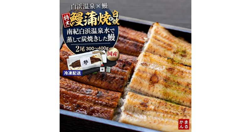 【ふるさと納税】うなぎ 鰻 ウナギ うなぎ蒲焼 鰻蒲焼 うなぎ白焼 白焼き 国産 特大 各1尾 合計2尾 合計300～400g和歌山県 白浜町 白浜温泉 備長炭 真空パック CAS冷凍 丑の日 ギフト 国内産 食べ物 グルメ お中元 お歳暮 誕生日 お取り寄せ 食品 食物 贈答 冷凍食品