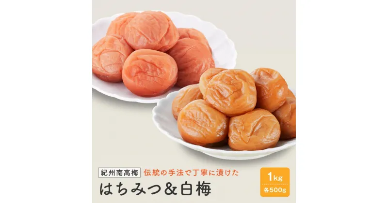 【ふるさと納税】紀州南高梅　はちみつ＆白梅　1kg（各500g）