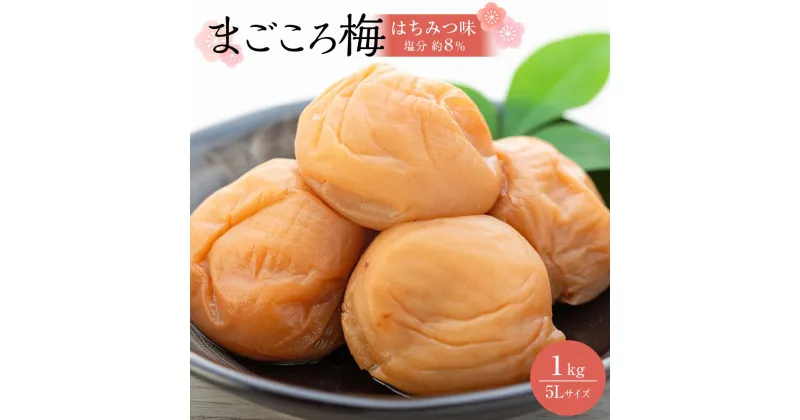 【ふるさと納税】まこごろ梅 はちみつ味 5Lサイズ 1kg | 梅干 食品 加工食品 人気 おすすめ 送料無料