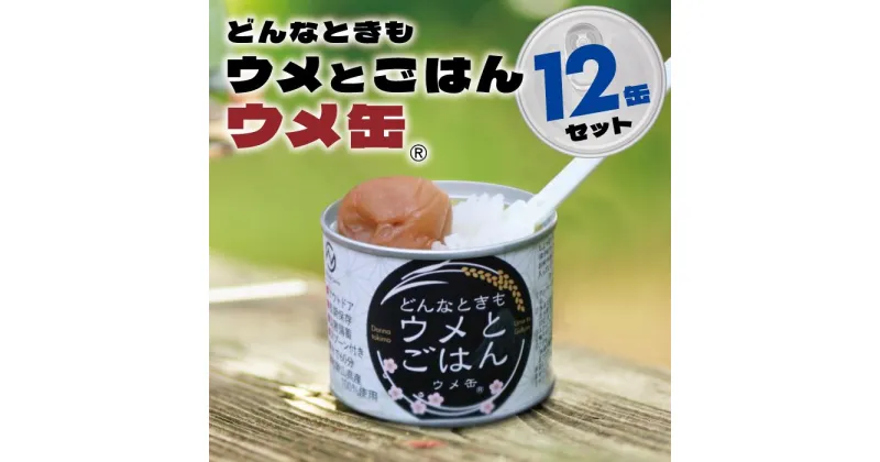 【ふるさと納税】どんなときも梅とご飯 ウメ缶 12缶セット 非常食 保存食 備蓄 非常食セット 防災グッズ 防災 アウトドア キャンプ 缶詰 紀州南高梅 梅干し アルファ米 ご飯 和歌山県 白浜町 ふるさと納税 5年保存 | 食品 加工食品 人気 おすすめ 送料無料