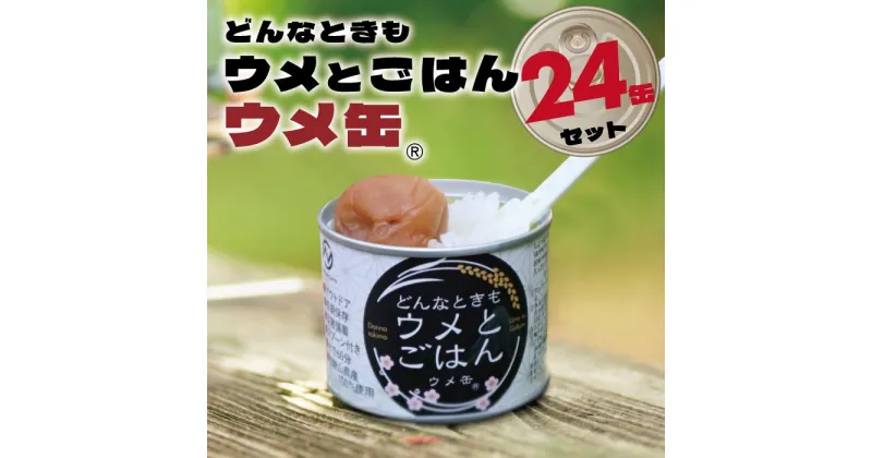 【ふるさと納税】どんなときも梅とご飯 ウメ缶 24缶セット 非常食 保存食 備蓄 非常食セット 防災グッズ 防災 アウトドア キャンプ 缶詰 紀州南高梅 梅干し アルファ米 ご飯 和歌山県 白浜町 ふるさと納税 5年保存 | 食品 加工食品 人気 おすすめ 送料無料