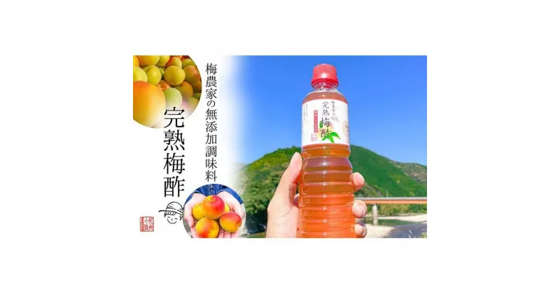 【ふるさと納税】無添加 梅酢 500ml×2本 梅と天日塩だけ 農家の手作り完熟梅酢 調味料