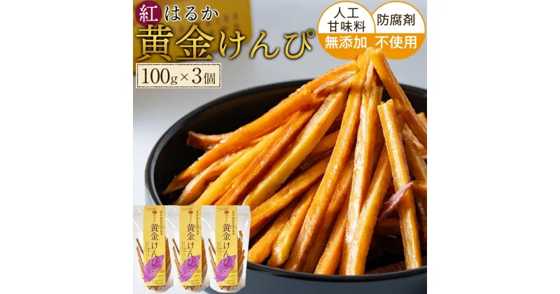 【ふるさと納税】黄金けんぴ Y 100g × 3個セット | お菓子 詰合せ菓子 おかし 食品 人気 おすすめ 送料無料