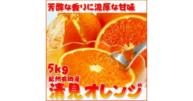 【ふるさと納税】とにかくジューシー清見オレンジ　5kg【2025年3月下旬以降発送】【先行予約】【UT53】 | 和歌山 上富田町 返礼品 お取り寄せ ご当地 清見オレンジ 清見 オレンジ みかん ミカン 特産品 フルーツ 柑橘 柑橘類