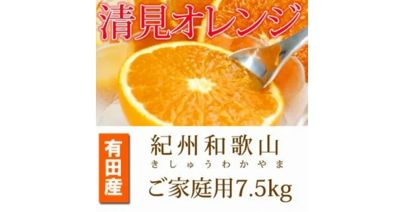 【ふるさと納税】【ご家庭用訳アリ】紀州有田産清見オレンジ　7.5kg【2025年3月下旬以降発送】【先行予約】【UT54】 | 和歌山 上富田町 お取り寄せ ご当地 お土産 清見オレンジ 清見 オレンジ みかん ミカン 特産品 名産品 果物 くだもの フルーツ 柑橘