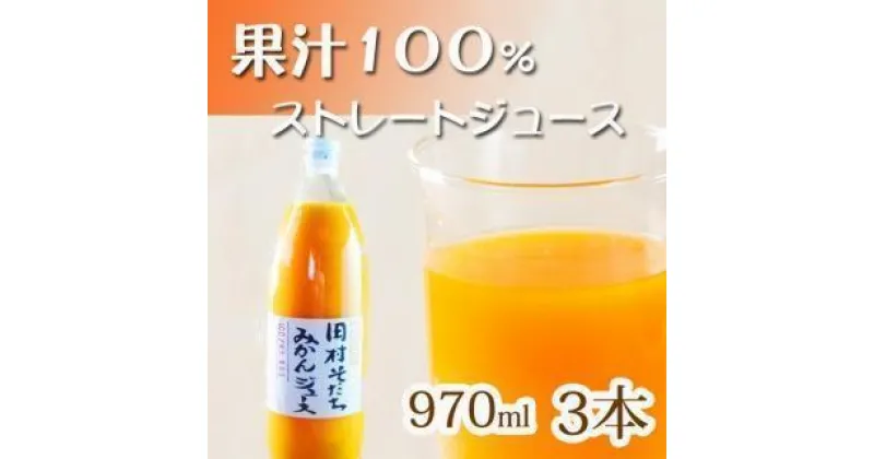 【ふるさと納税】果汁100％田村そだちみかんジュース 970ml×3本 | 和歌山 和歌山県 上富田町 返礼品 支援 お取り寄せ ご当地 お土産 特産品 名産品 みかんジュース ミカンジュース ストレート フルーツジュース ストレートジュース 果汁100% ドリンク 飲み物 食品