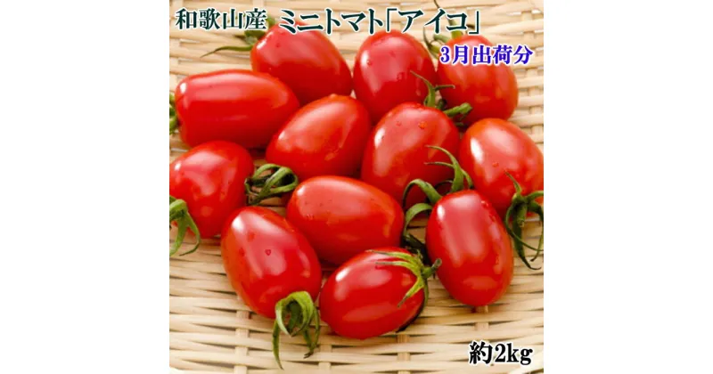 【ふるさと納税】【3月出荷分】和歌山産ミニトマト「アイコトマト」約2kg（S・Mサイズおまかせ）【TM123】 | 和歌山 和歌山県 上富田町 返礼品 支援 お取り寄せ ご当地 お土産 トマト とまと ミニトマト アイコ 甘いトマト 名産品 取り寄せ お礼の品 農産物