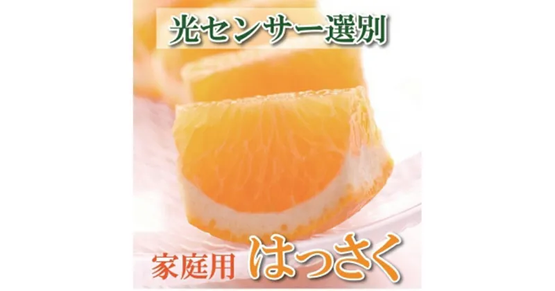 【ふるさと納税】＜1月より発送＞家庭用 はっさく10kg+300g（傷み補償分）【八朔みかん・ハッサク】【わけあり・訳あり】 | 楽天ふるさと 納税 和歌山県 和歌山 上富田町 はっさく 八朔 訳あり 食品 ワケあり ワケアリ 果物 フルーツ