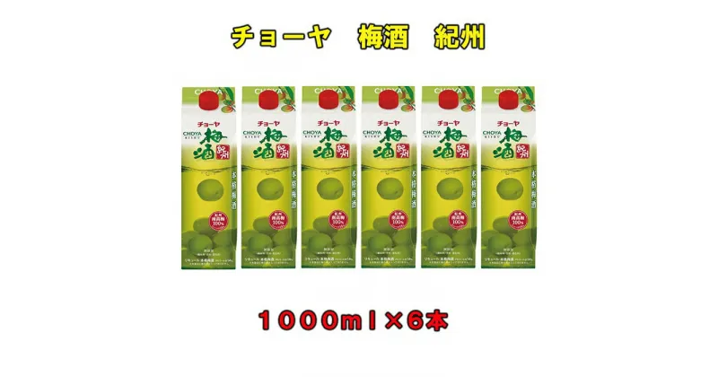 【ふるさと納税】チョーヤ梅酒紀州1,000ml紙パック×6本（1ケース） | 楽天ふるさと 納税 和歌山県 和歌山 上富田町 チョーヤ梅酒 酒 お酒 アルコール飲料 まとめ買い チョーヤ ドリンク 飲料 飲み物 梅 うめ ウメ プレゼント ギフト 贈り物 美味しい お取り寄せ CHOYA