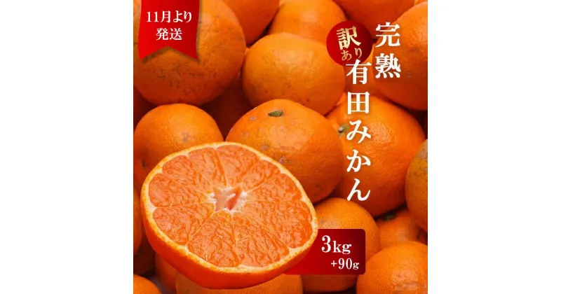 【ふるさと納税】＜11月より発送＞家庭用 完熟有田みかん3kg+90g（傷み補償分）訳あり | フルーツ 果物 くだもの 食品 人気 おすすめ 送料無料 わけあり 光センサー選果